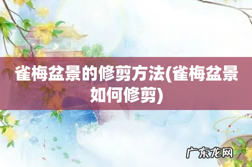 雀梅盆景如何修剪 雀梅盆景的修剪方法