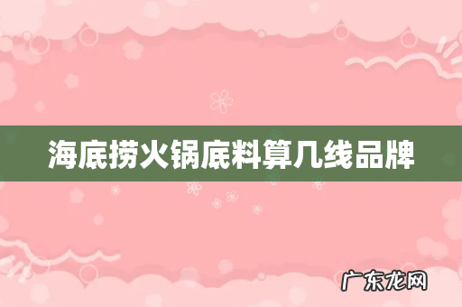 海底捞火锅底料算几线品牌