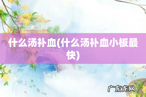 什么汤补血小板最快 什么汤补血