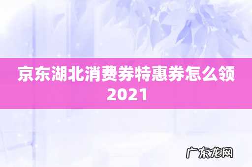 京东湖北消费券特惠券怎么领2021