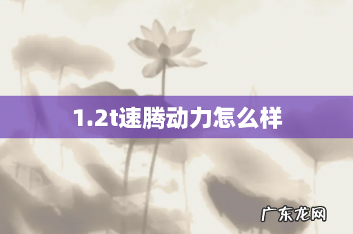 1.2t速腾动力怎么样