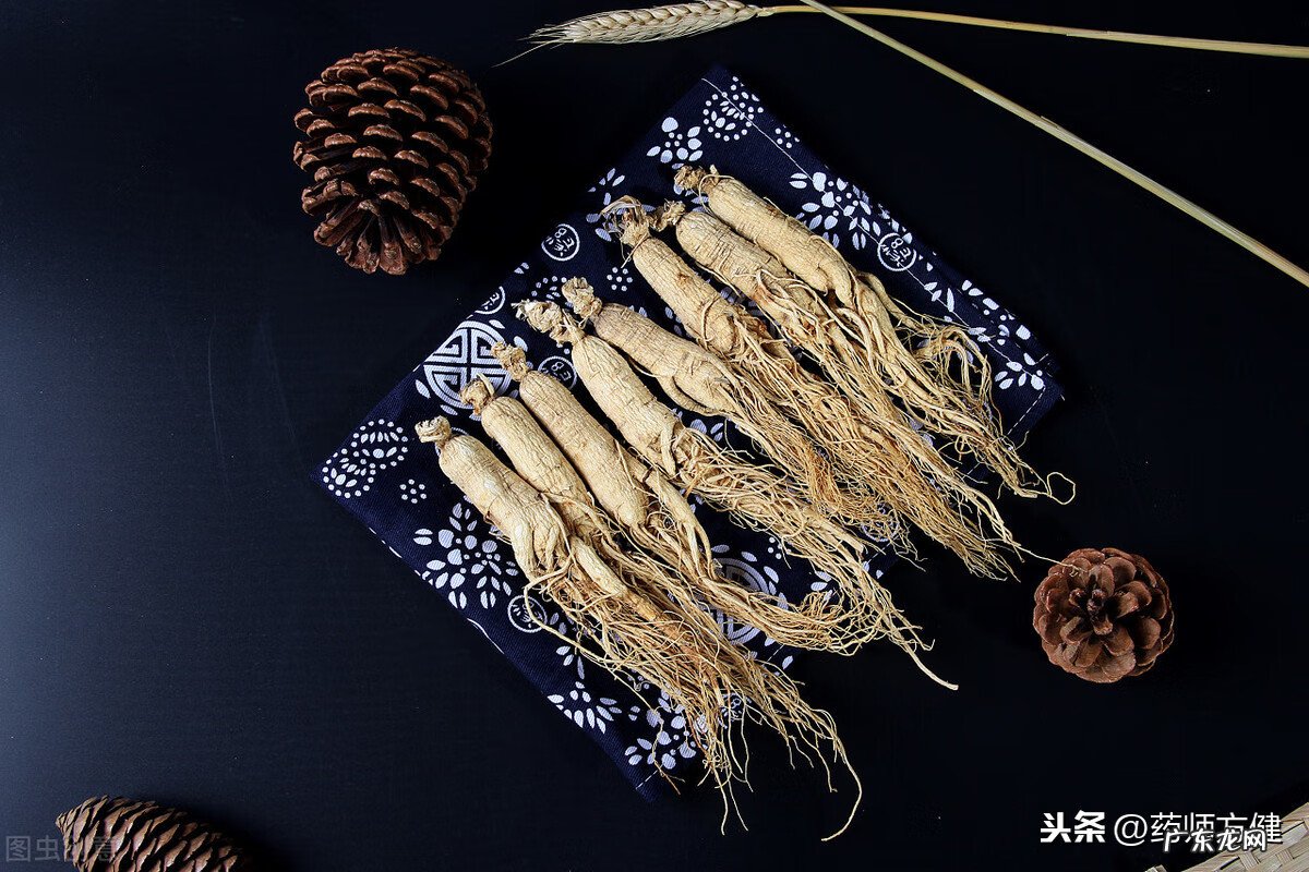 人参健脾丸和健脾丸哪个好 人参健脾丸怎么样