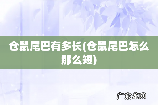 仓鼠尾巴怎么那么短 仓鼠尾巴有多长