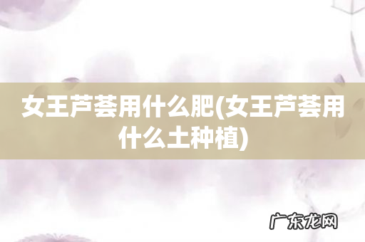 女王芦荟用什么土种植 女王芦荟用什么肥