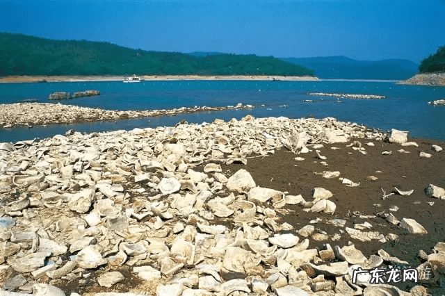 慈航普度意思 慈溪风水好的地方