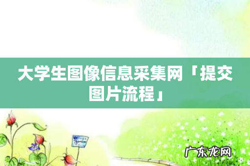 大学生图像信息采集网「提交图片流程」