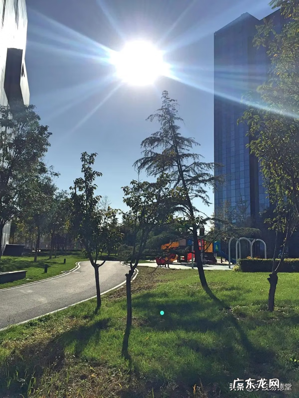 越住越富风水户型图高层 越住越旺的风水户型图