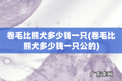 卷毛比熊犬多少钱一只公的 卷毛比熊犬多少钱一只