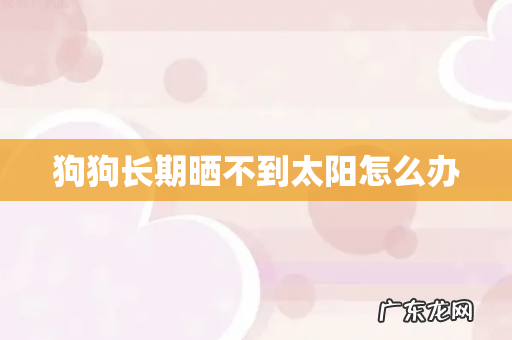 狗狗长期晒不到太阳怎么办