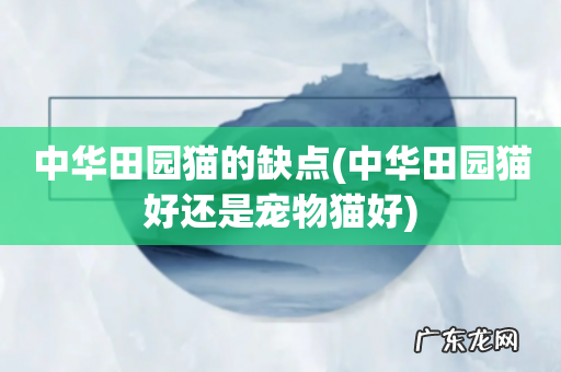 中华田园猫好还是宠物猫好 中华田园猫的缺点