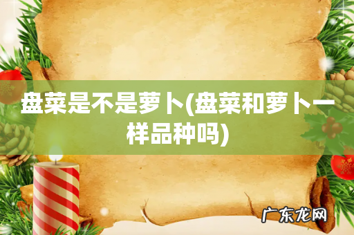 盘菜和萝卜一样品种吗 盘菜是不是萝卜