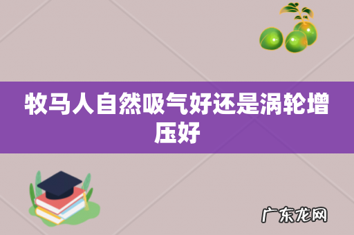 牧马人自然吸气好还是涡轮增压好