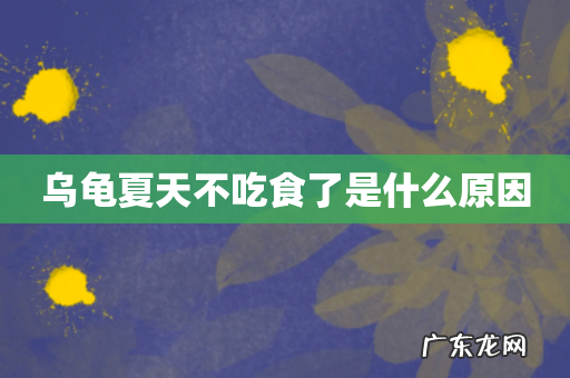 乌龟夏天不吃食了是什么原因