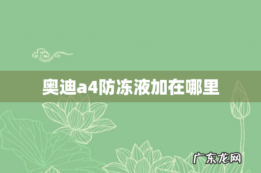 奥迪a4防冻液加在哪里