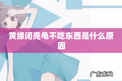 黄缘闭壳龟不吃东西是什么原因