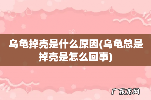 乌龟总是掉壳是怎么回事 乌龟掉壳是什么原因