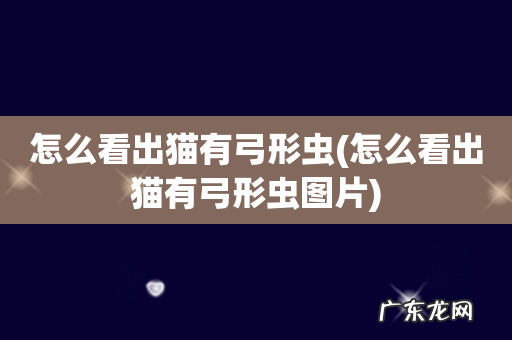 怎么看出猫有弓形虫图片 怎么看出猫有弓形虫