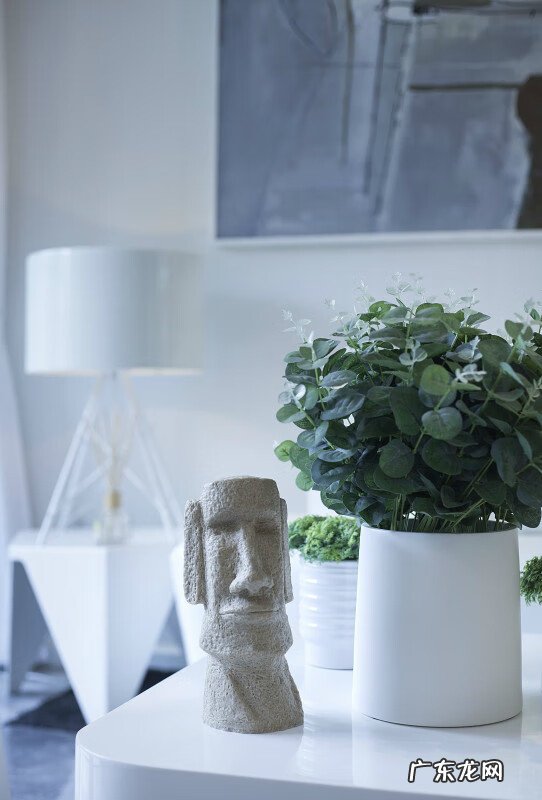 家居风水树哪种最好 家里种植什么树风水好