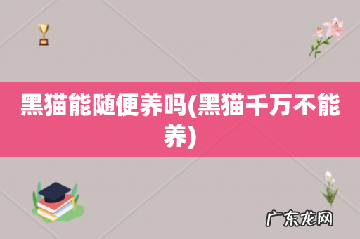 黑猫千万不能养 黑猫能随便养吗
