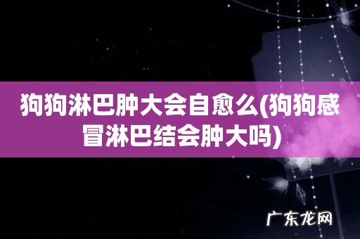 狗狗感冒淋巴结会肿大吗 狗狗淋巴肿大会自愈么