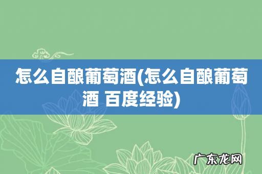 怎么自酿葡萄酒 百度经验 怎么自酿葡萄酒