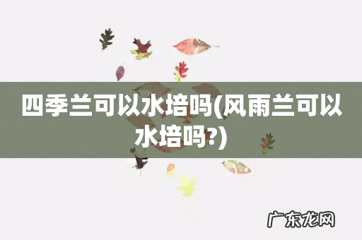 风雨兰可以水培吗? 四季兰可以水培吗