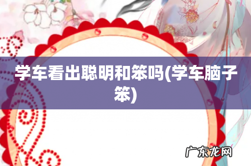学车脑子笨 学车看出聪明和笨吗