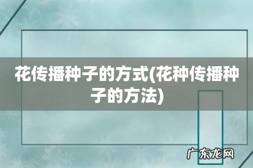 花种传播种子的方法 花传播种子的方式