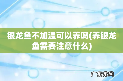 养银龙鱼需要注意什么 银龙鱼不加温可以养吗