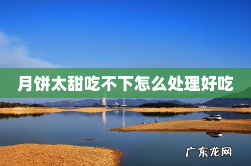 月饼太甜吃不下怎么处理好吃