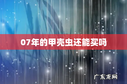 07年的甲壳虫还能买吗