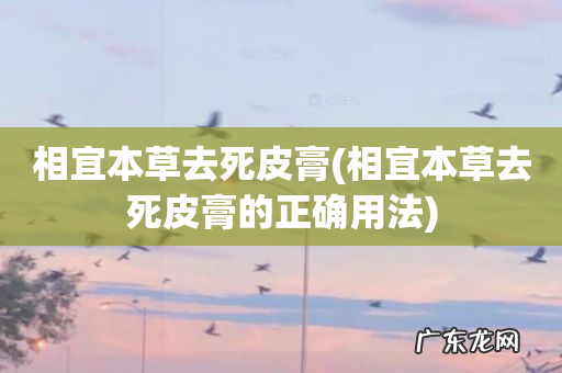 相宜本草去死皮膏的正确用法 相宜本草去死皮膏