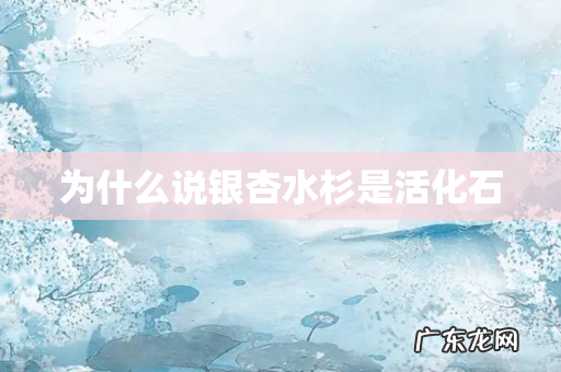 为什么说银杏水杉是活化石