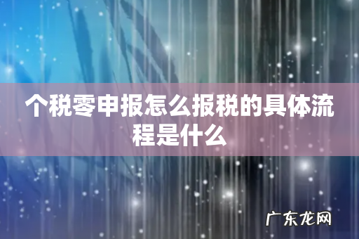 个税零申报怎么报税的具体流程是什么