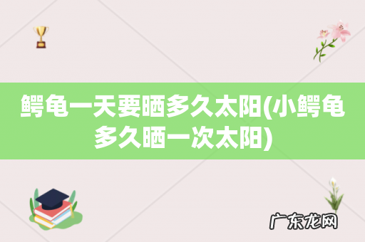 小鳄龟多久晒一次太阳 鳄龟一天要晒多久太阳