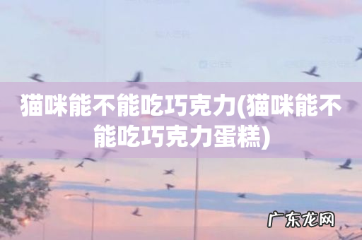 猫咪能不能吃巧克力蛋糕 猫咪能不能吃巧克力