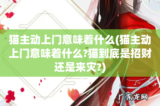 猫主动上门意味着什么?猫到底是招财还是来灾? 猫主动上门意味着什么