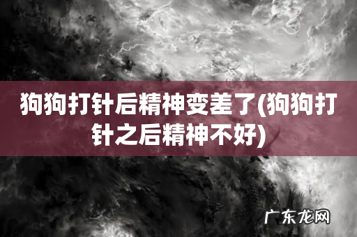 狗狗打针之后精神不好 狗狗打针后精神变差了