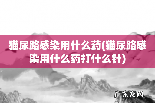 猫尿路感染用什么药打什么针 猫尿路感染用什么药