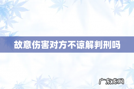 故意伤害对方不谅解判刑吗