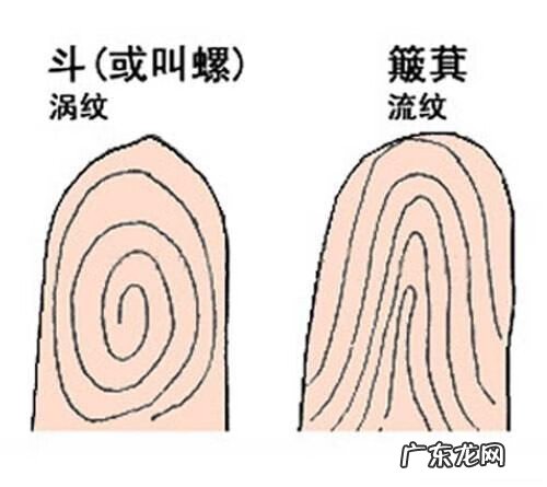 风水中的簸箕水好不好 家用簸萁什么颜色对风水好