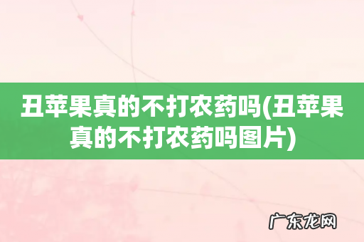 丑苹果真的不打农药吗图片 丑苹果真的不打农药吗