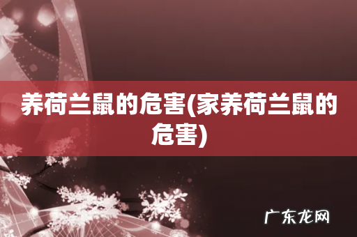 家养荷兰鼠的危害 养荷兰鼠的危害