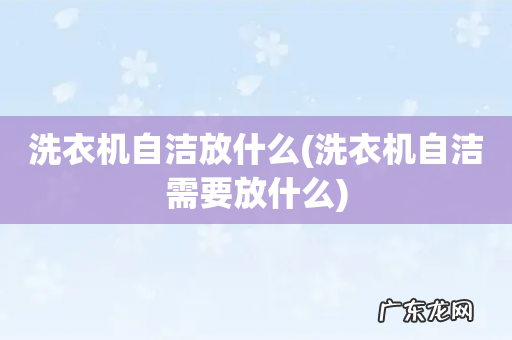 洗衣机自洁需要放什么 洗衣机自洁放什么