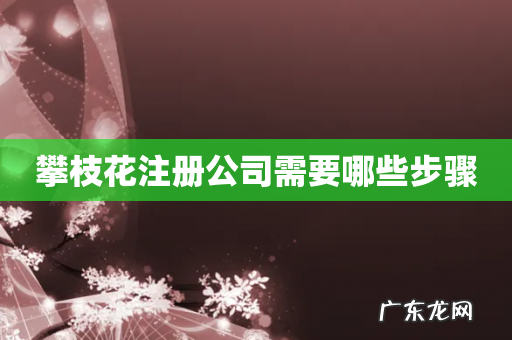 攀枝花注册公司需要哪些步骤