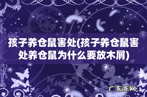孩子养仓鼠害处养仓鼠为什么要放木屑 孩子养仓鼠害处