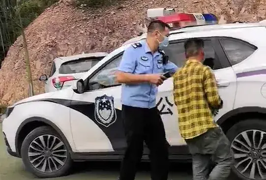 蜜蜂大战黄蜂 打黄蜂