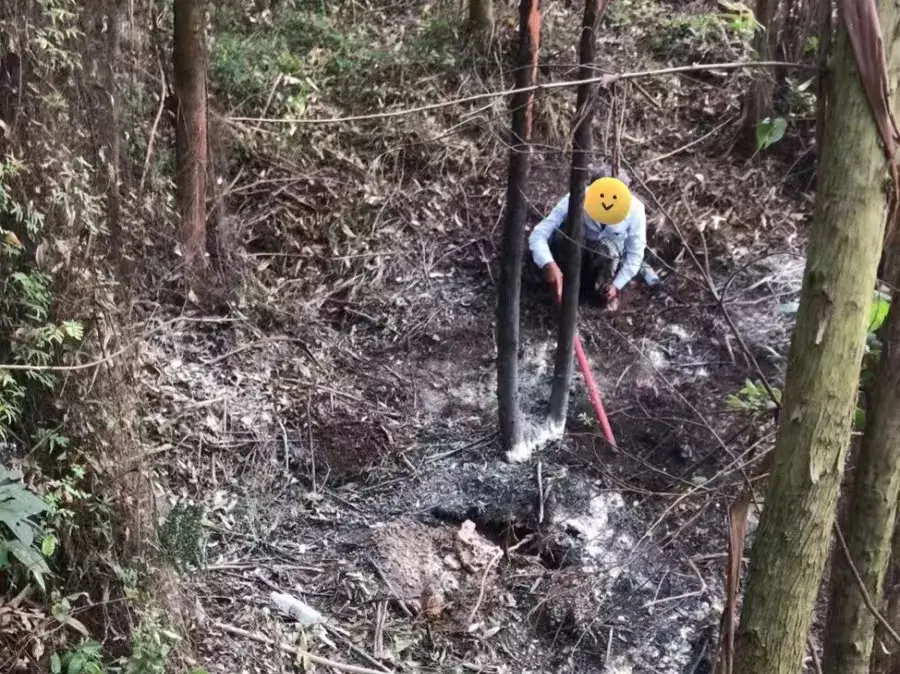 蜜蜂大战黄蜂 打黄蜂