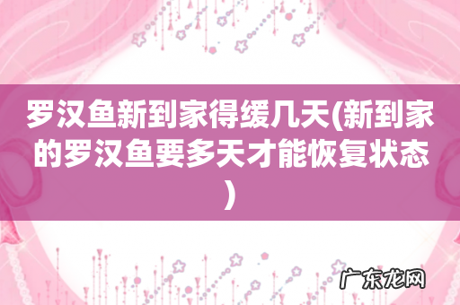 新到家的罗汉鱼要多天才能恢复状态 罗汉鱼新到家得缓几天