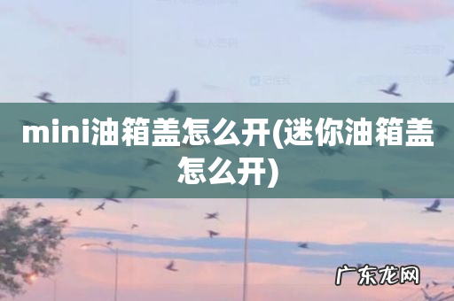 迷你油箱盖怎么开 mini油箱盖怎么开